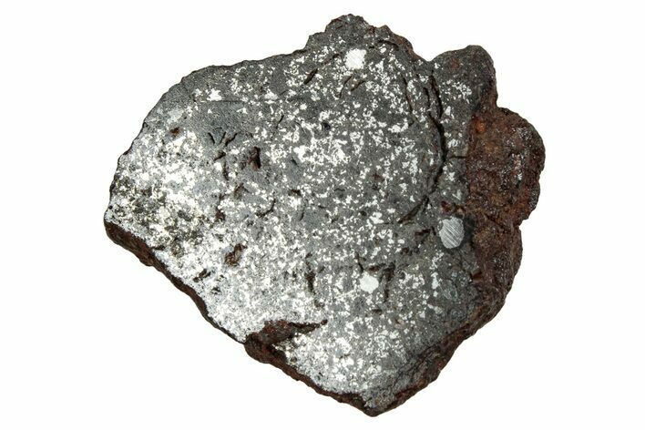 Polished Stony-Iron Mesosiderite Meteorite ( g) - Chile #242902